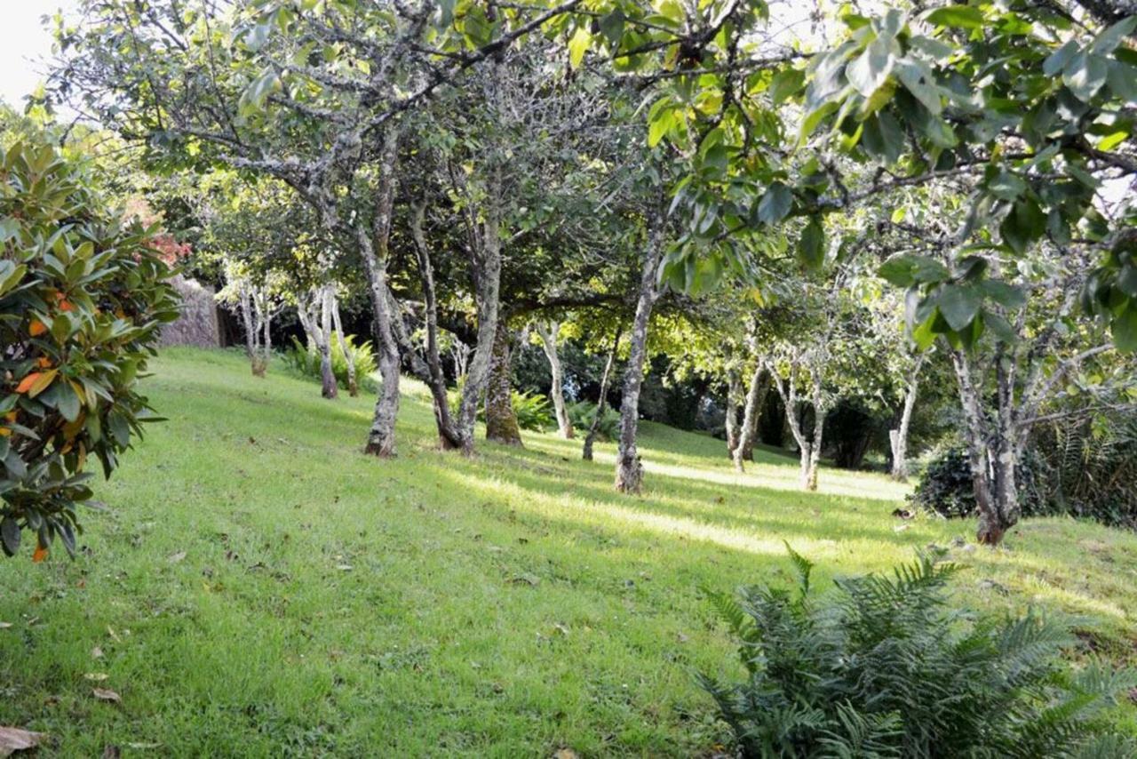 Thornwell Cottage: Charming Village Retreat with Gardens and Views Dittisham Exterior photo
